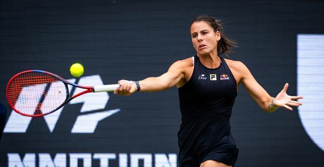 穆雷新星赛事规则更新表现惊艳，曼联未来可期！